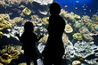Musée océanographique aquarium de Monaco