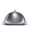 vector catering tray covered chrome