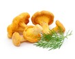 Pilze, Dill