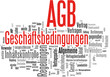 Allgemeine Geschäftsbedingungen AGB