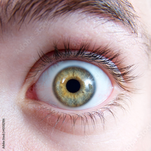 Photo: Erschrockener Blick – Auge mit grüner Iris Erschrockener Blick – Auge mit grüner Iris