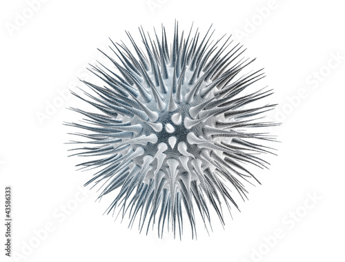 Ilustración: Virus cell isolated on black background Virus cell isolated on black background