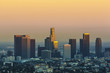 view to city of Los Angeles from Griffith park in the evening