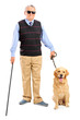 Blind person holding a walking stick and a dog
