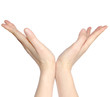 Photo: open hand open hand