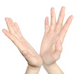 Photo: open hand open hand