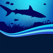 shark