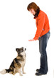 Foto: woman is dog training woman is dog training
