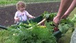 Video: en famille au potager en famille au potager