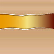 wellpappe mit riss - gold