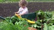 Video: au potager au potager