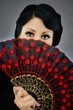 Foto: Flamenco (Emel Gloss) Flamenco (Emel Gloss)