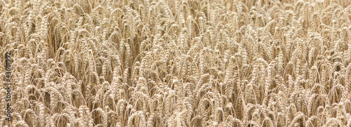 Foto: Kornfeld Kornfeld