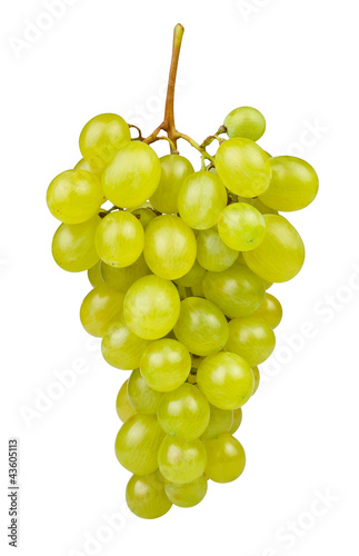 Photo: white grape white grape