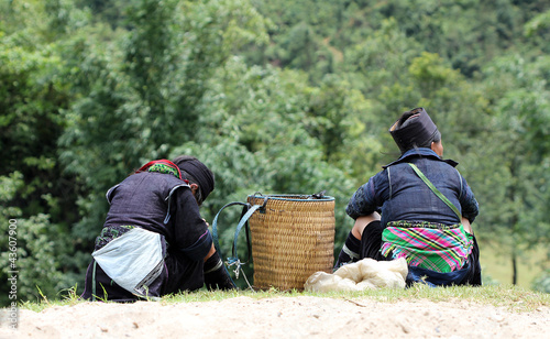 Photo: Mongs noires assisses dans la montagne Mongs noires assisses dans la montagne