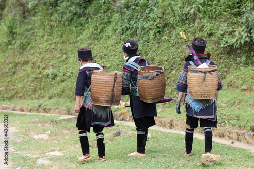 Photo: Mongs noires marchant dans la montagne Mongs noires marchant dans la montagne