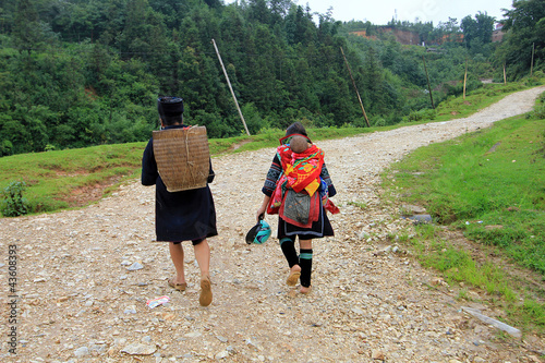 Photo: Mongs noires marchant dans la montagne Mongs noires marchant dans la montagne