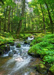 Ruisseau vosgien