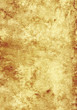 Foto: Paper Paper