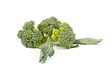 broccoli on a white background