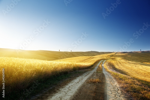 Photo: ground road on field in Tuscany, italy ground road on field in Tuscany, italy