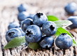 Blueberries with leaves