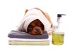 junger Hund mit Handtuch und Seife