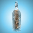 Elephant prisoner in a bottle