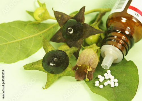 Photo: Globuli und Tollkirsche, Atropa belladonna Globuli und Tollkirsche, Atropa belladonna