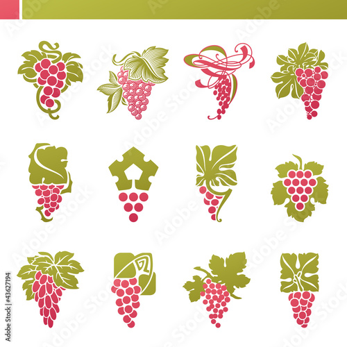 Vektor: Red grape with green leaf. Vector logo template set. Red grape with green leaf. Vector logo template set.