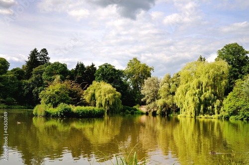 Photo: Sonniger Tag am See Sonniger Tag am See