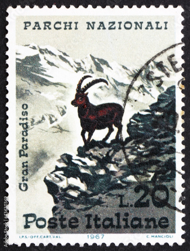 Photo: Postage stamp Italy 1967 Alpine Ibex Postage stamp Italy 1967 Alpine Ibex
