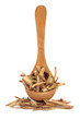 Liquorice Root