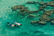snorkling at hanauma bay, Ohau, Hawaii snorkling at hanauma bay, Ohau, Hawaii