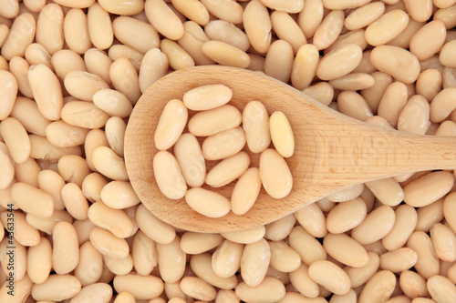 Photo: Cannellini Beans Cannellini Beans