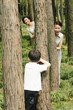 A boy playing hide and seek with his mother and grandmother in the forest