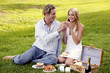 A couple picnicking on the field