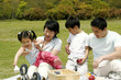 A family picnicking in the park
