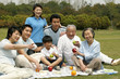 A big family picnicking in the park