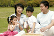 A family picnicking in the park