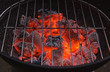 barbecue grill