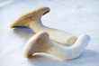 Two mushrooms 