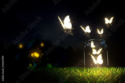Illustration: Butterflies Butterflies