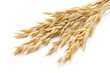 oat