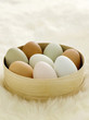 Coloured eggs in bowls
