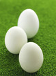Mini eggs on grass