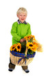 Little boy with flower basket