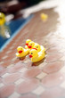 Toy ducks beside a swimming pool