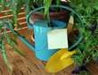 Watering can and post-it