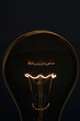 Illuminated light bulb